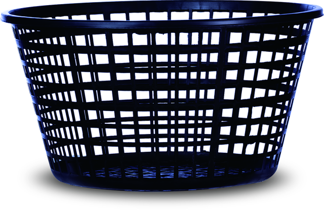 什漁林／荖葉林