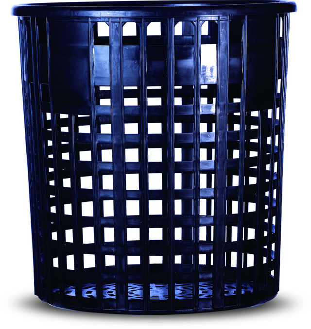 蚵仔林
